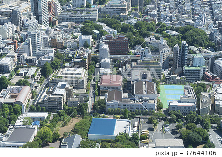 東京 都心の街並み 渋谷区広尾 東京 都心の街並み 渋谷区広尾 37644106