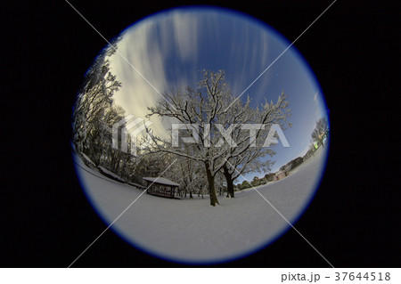 雪の星空 雪の星空 37644518