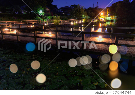 夜の花島公園 37644744