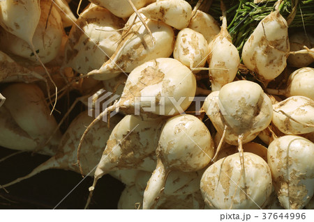 Jicama, crisp fresh and sweet fruit in market 37644996