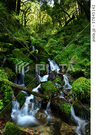 滝 瀧 瀑布 37645142
