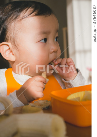 1 year old 1 year old 37646087