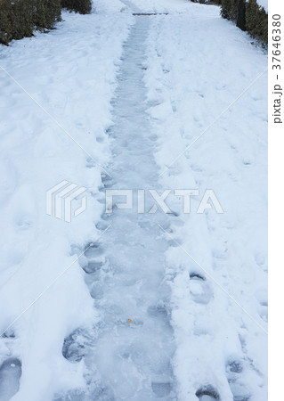 雪が積った歩道の風景 雪が積った歩道の風景 37646380