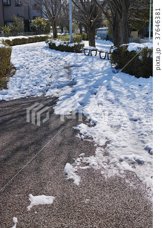 雪が積った歩道の風景 37646381