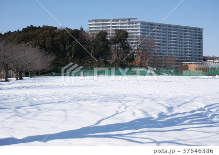 雪が積った公園広場 37646386
