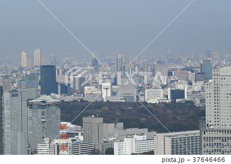 東京都市景観「日本武道館や順天堂大方向を望む」＝都内4年ぶり大雪一夜明け・2018年1月23日撮影 37646466