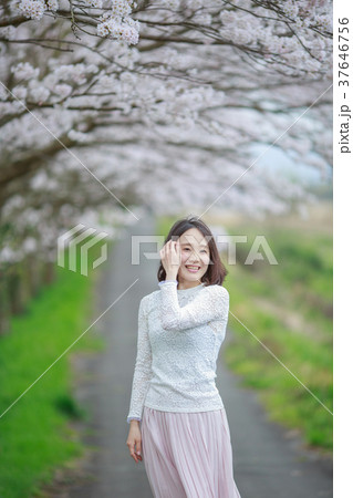 お花見デート お花見デート 37646756