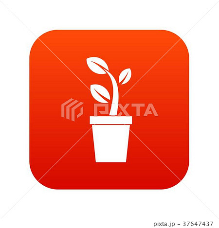 Sprout in pot icon digital red 37647437