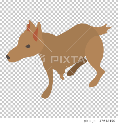 Wounded dog icon, isometric 3d style Wounded dog icon, isometric 3d style 37648450