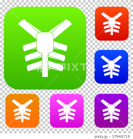 Human thorax set color collection 37648719