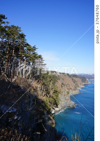 真冬の三陸ジオパーク 真冬の三陸ジオパーク 37648760