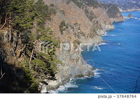 真冬の三陸ジオパーク 37648764