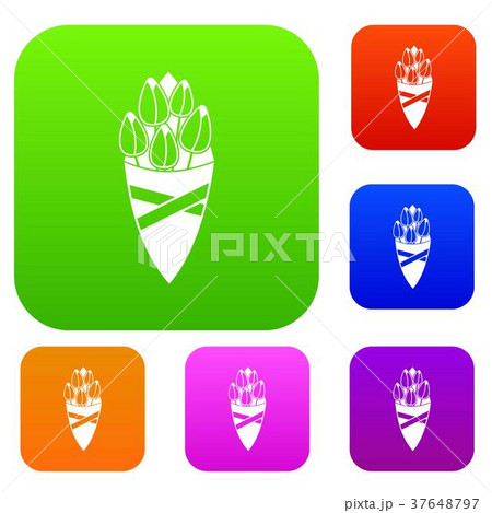 Bouquet of tulip flowers set color collection Bouquet of tulip flowers set color collection 37648797