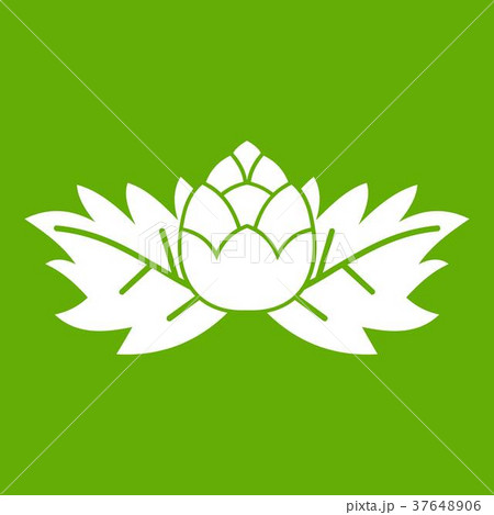 Hops icon green 37648906