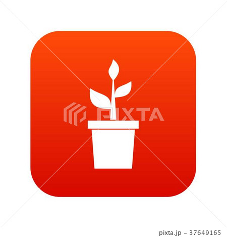 Plant in clay pot icon digital red Plant in clay pot icon digital red 37649165