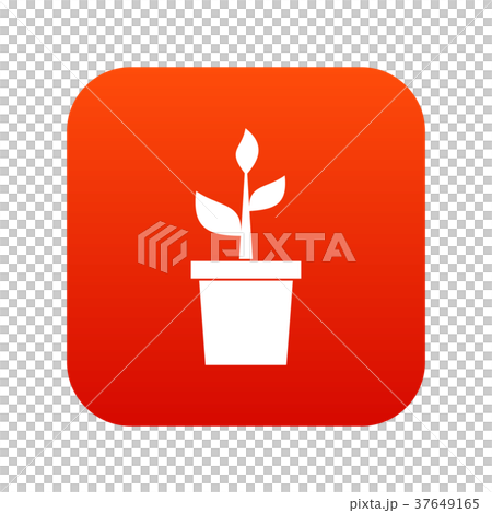 Plant in clay pot icon digital red Plant in clay pot icon digital red 37649165