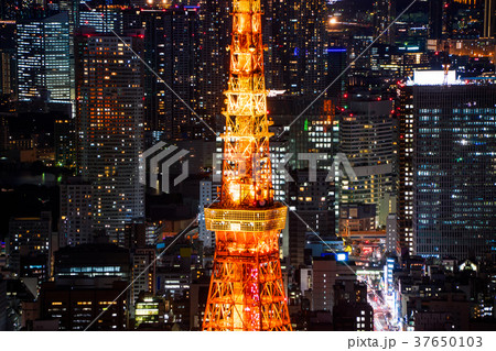 東京タワーの夜景 37650103