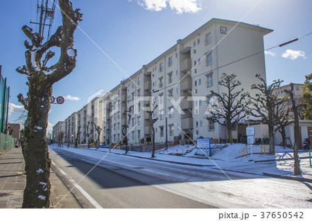 冬の団地 冬の団地 37650542