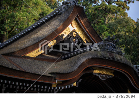 大神神社 37650694