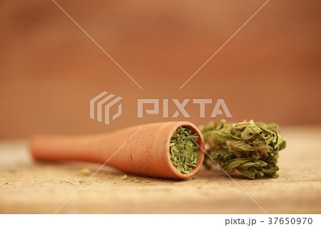 indica Cannabis pipe indica Cannabis pipe 37650970