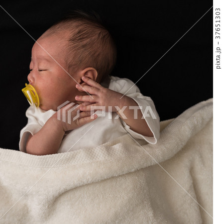 ベビーフォト ベビーフォト 37651303