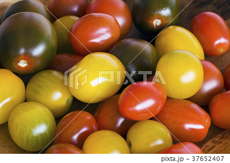 37652407