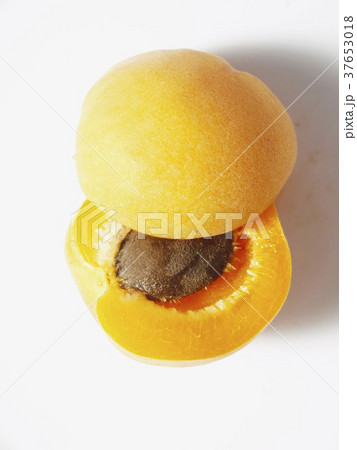 37653018