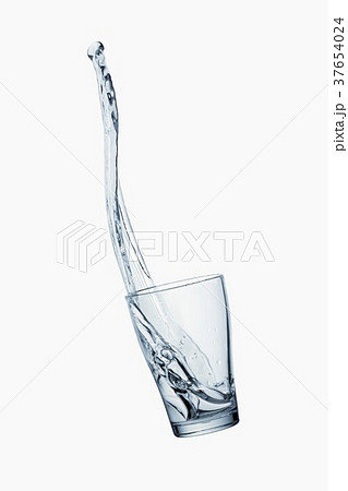 37654024