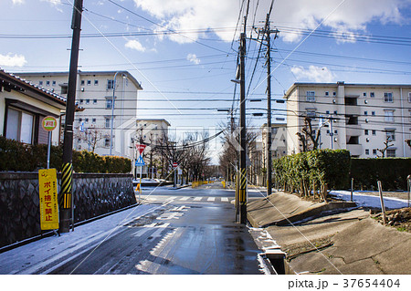冬の住宅地 37654404