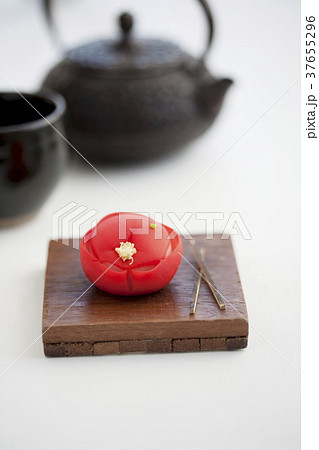37655296