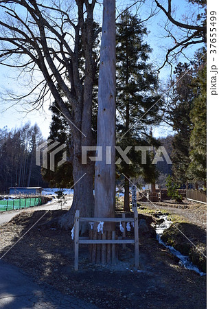 諏訪大社　上社前宮　二の柱 37655499