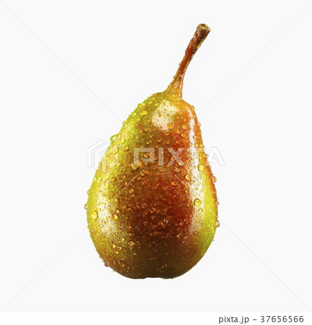 37656566