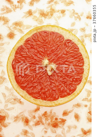 37660355