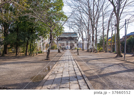 妻沼聖天山　参道　熊谷市 37660552