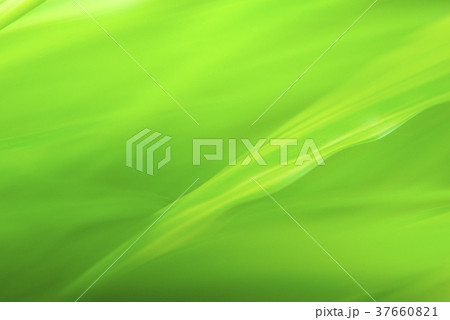 緑葉のアウトフォーカスによる背景イメージ 37660821