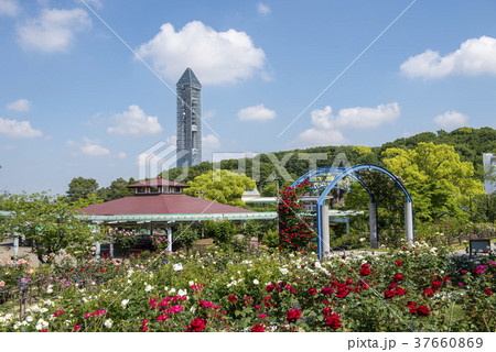 春の東山動植物園 37660869