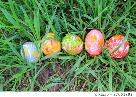 Easter eggs in the spring meadow 37661393