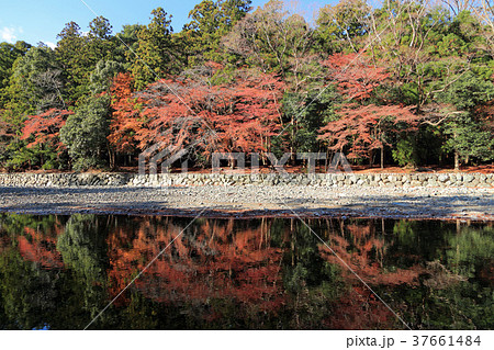 伊勢神宮内宮 五十鈴川御手洗場から対岸を見る 伊勢神宮内宮 五十鈴川御手洗場から対岸を見る 37661484
