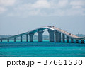 伊良部大橋 37661530