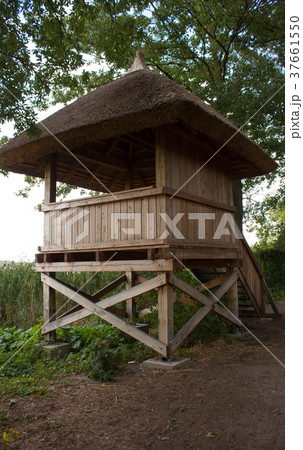 Observation tower for bird watching 37661550