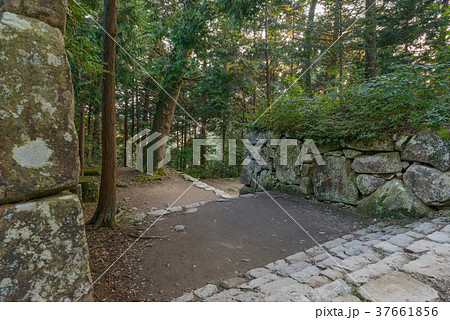 安土城址 黒金門跡 安土城址 黒金門跡 37661856