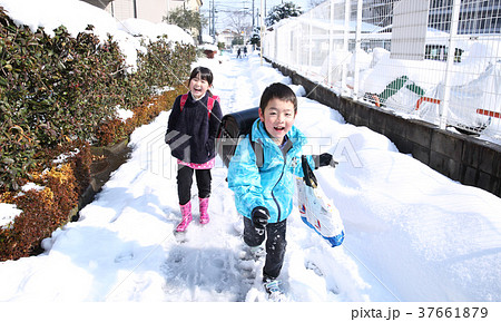 雪道の通学路 37661879