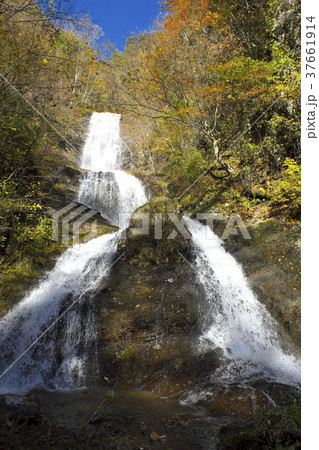 紅葉の唐沢の滝 紅葉の唐沢の滝 37661914