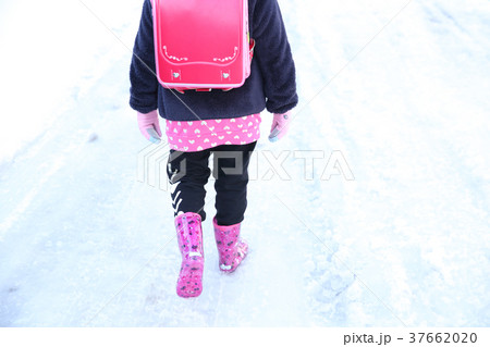 雪道の通学路 37662020