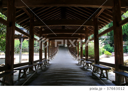吉備津神社 吉備津神社 37663012