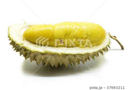 Durian fruit isolated on white background Durian fruit isolated on white background 37663211