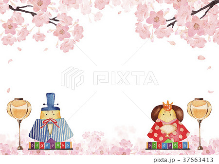 ひな祭り 雛人形 桜 背景 フレーム 水彩 イラストのイラスト素材