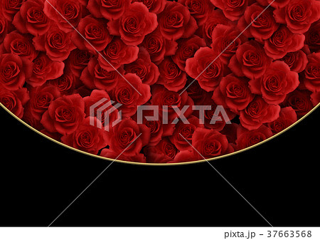 背景素材　薔薇（ばら） 37663568