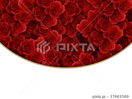 背景素材 薔薇(ばら) 背景素材 薔薇(ばら) 37663569