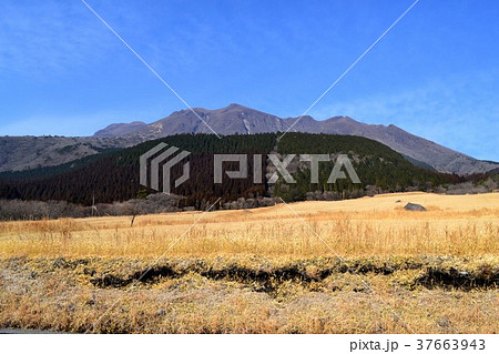 冬の久住高原 冬の久住高原 37663943